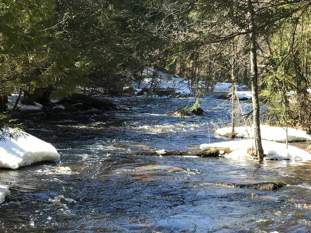 Photo of a river.
