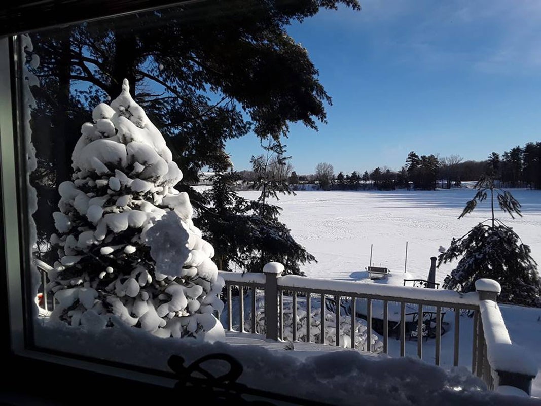 Photo of a frozen pond.