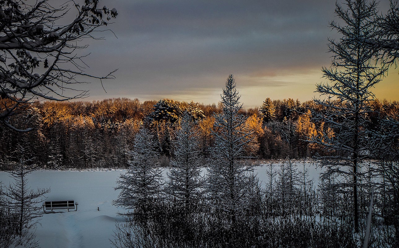 Photo of a winter scene.