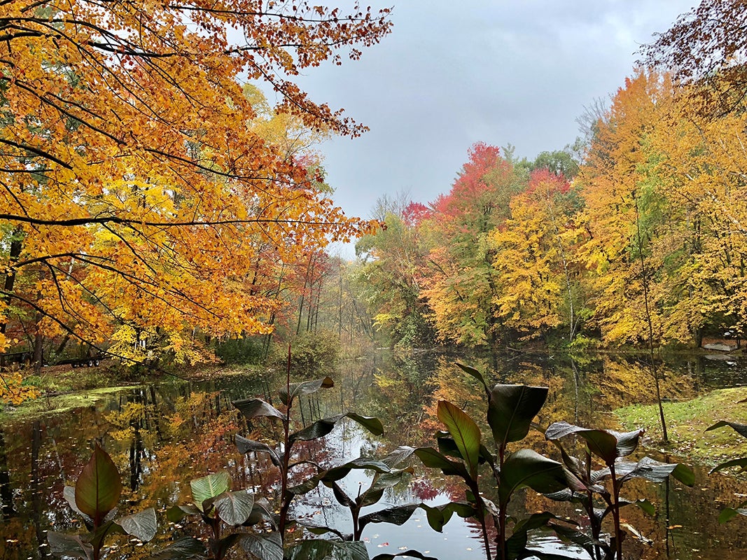 Photo of trees and a river in the fall.