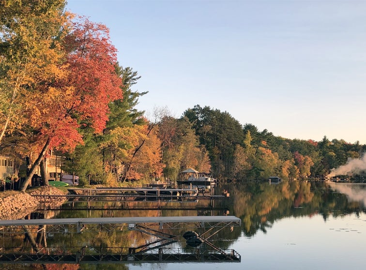 Photo of fall leaves on trees by a body of water.