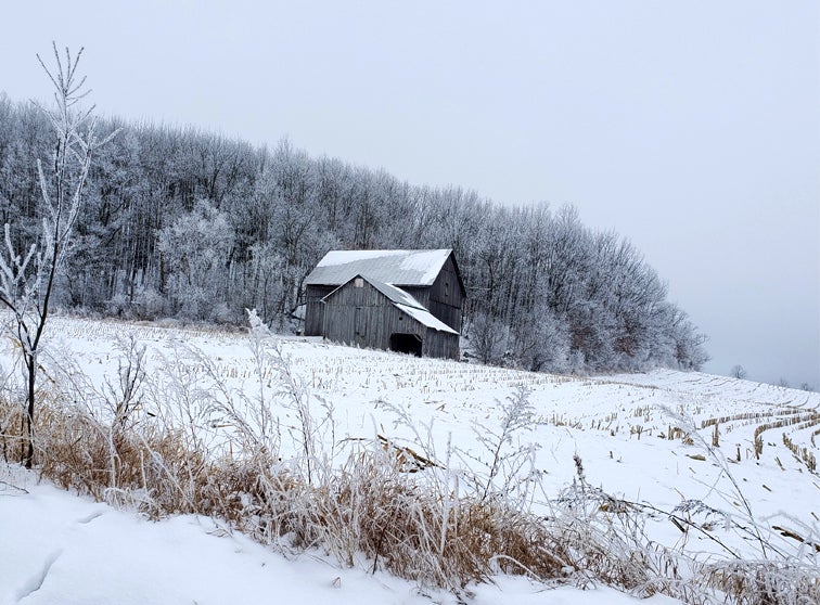 Barn in winter.