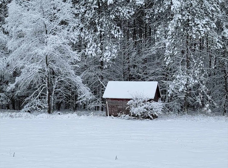 Snow covered building by trees.