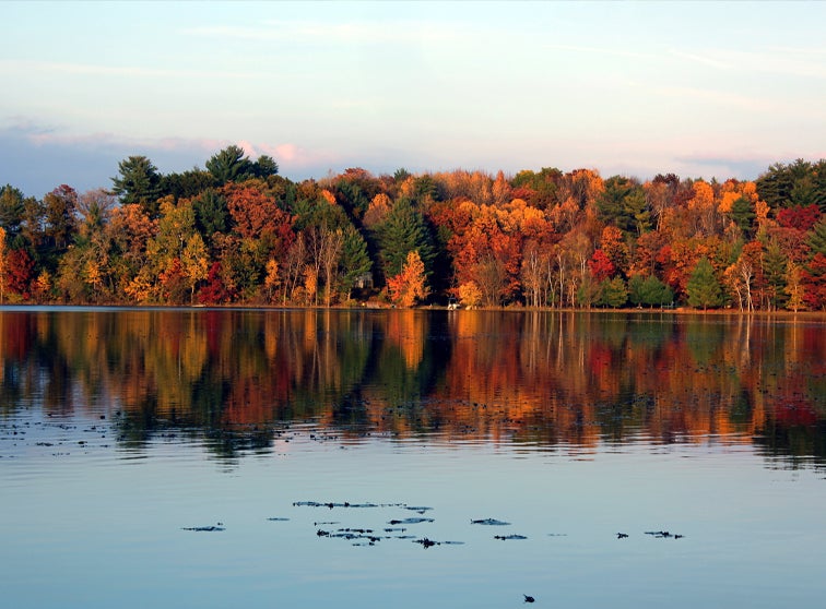 Fall colors reflecting on a lake.