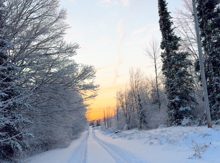 Vehicle tracks on a roadway after a snow fall. 