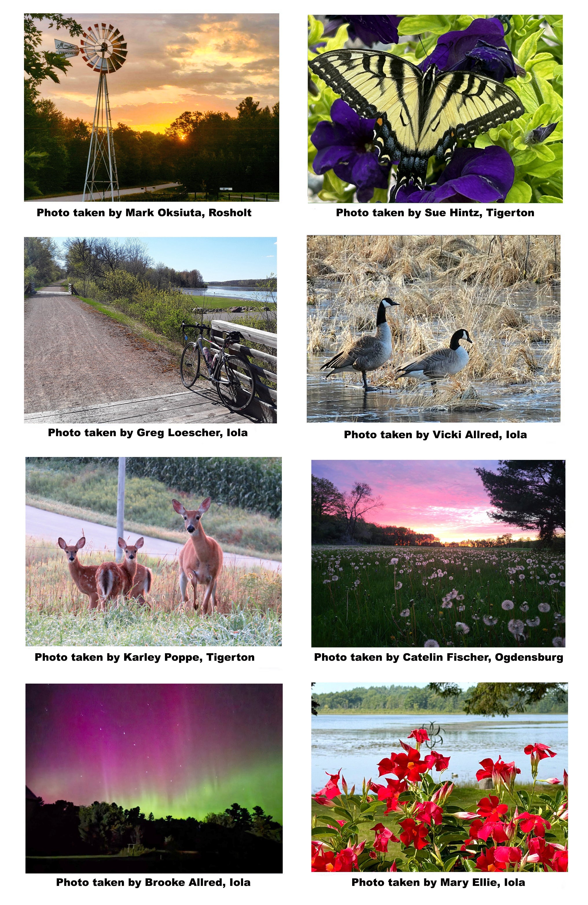 Honorable Mention photos