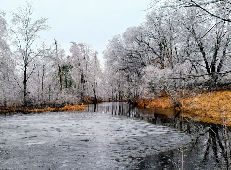 Photo of a river and trees after an ice storm.